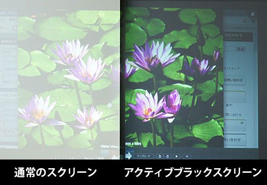 草木がきれいに映る