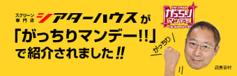 がっちりマンデー
