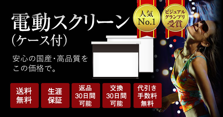 電動スクリーン ケース付き