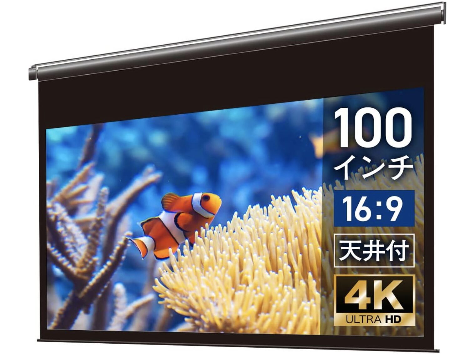 BDR100インチ