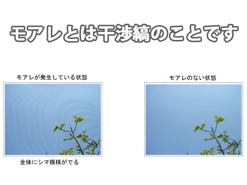 モアレとは